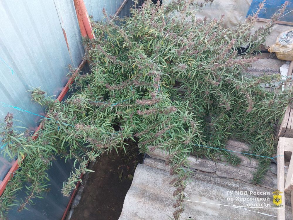 ���������� ������� ������������� ������ ���������� � �������� ������ ������� � ���������