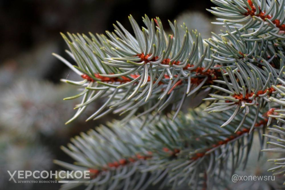 �� ���� ��������� 90 ������� ���� �� ����� ��������-������ ��������