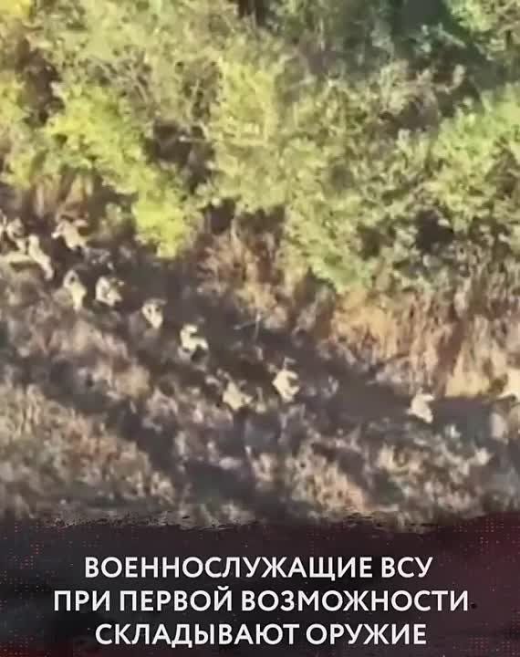 ������� ��� ������� ������� � ���� ������� ����� � ���������� ����� ��� �������������� �� ���� �������������� �����������