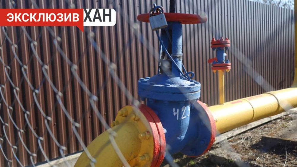 � ����� 38 ���. ����� ���������� ������� ��������� �������� �����������