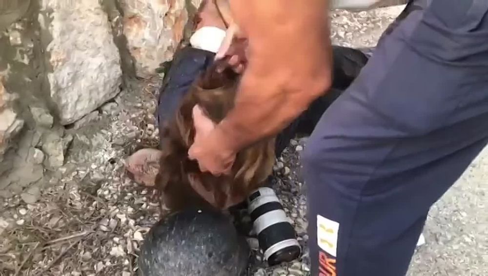 �� ��� ������ ���������� ����������� ����� ��� ������� ����������� �����