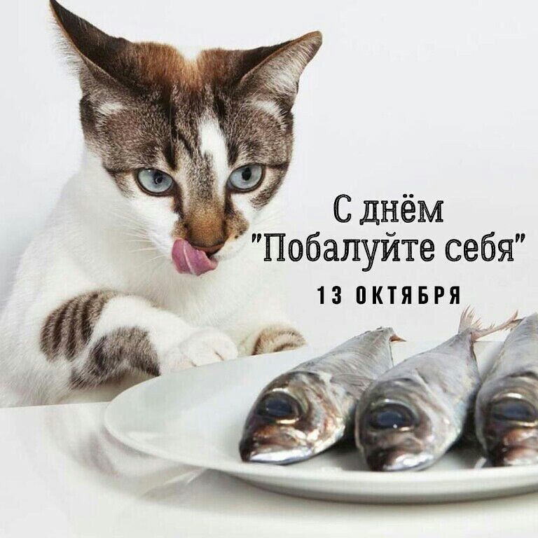 13 ������� ���������� ���� "��������� ����" - ��������, ������� ��������� ����� ������� �������� ������������ ���� � ����