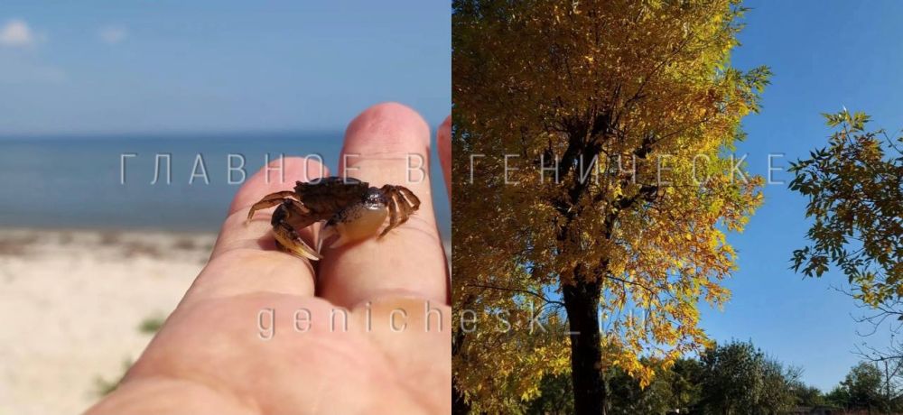 ������ �������� � ����� ������ � ����� �������