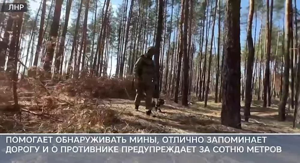 ������ ���� � �� ������ ������ ����, �� � ����������� �������� ��� ����������� ����� ����������� �����