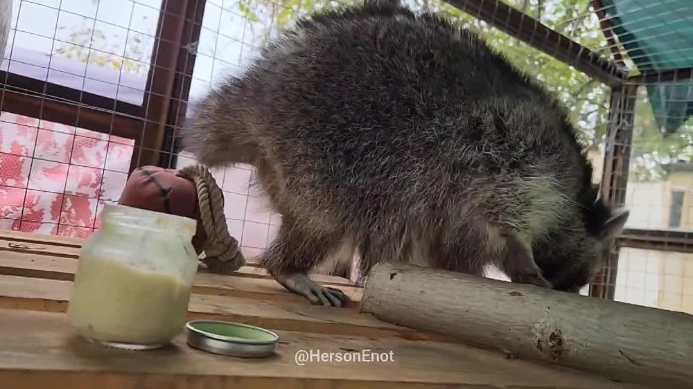 ���� �� �������: ������� �� �����! ��� �� ������