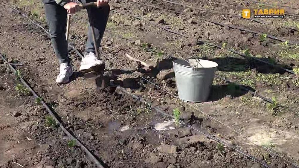 � ���������� ������� ������������ ������ �� ���������� � ������������ ������ ��������