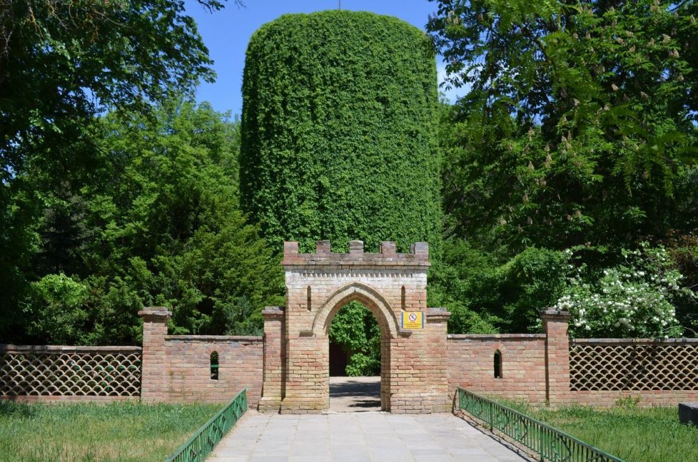 ���������� ��������-���� ���������� �� ������ ��������