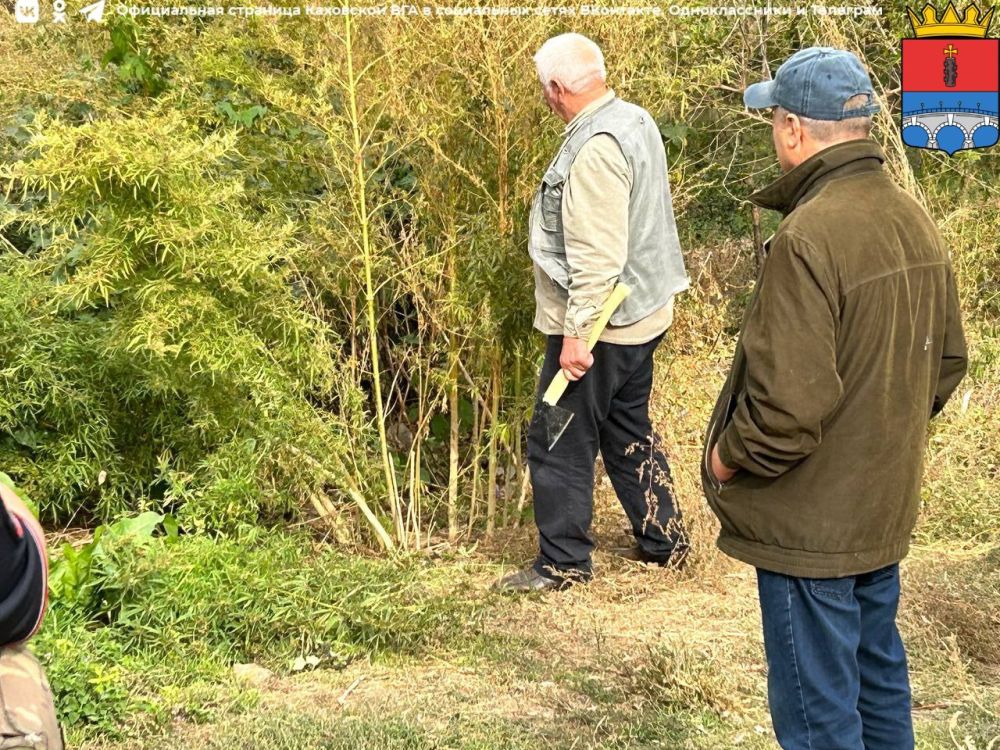 � ����������� ��������������� ���������� ���������� ������ ��������������� ���������� 45 ������ ������������ �������