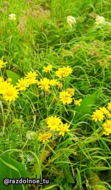 ����������! ������ ����!. ������, ����� ��� �������� ����� �������, �����, ���������� ���������� � ��� ����� ����, ��� ��-���������� ����������!