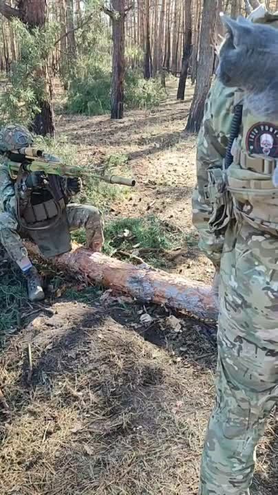 ���� �� �������: ����� ������ ������ ����� - ���� ��������