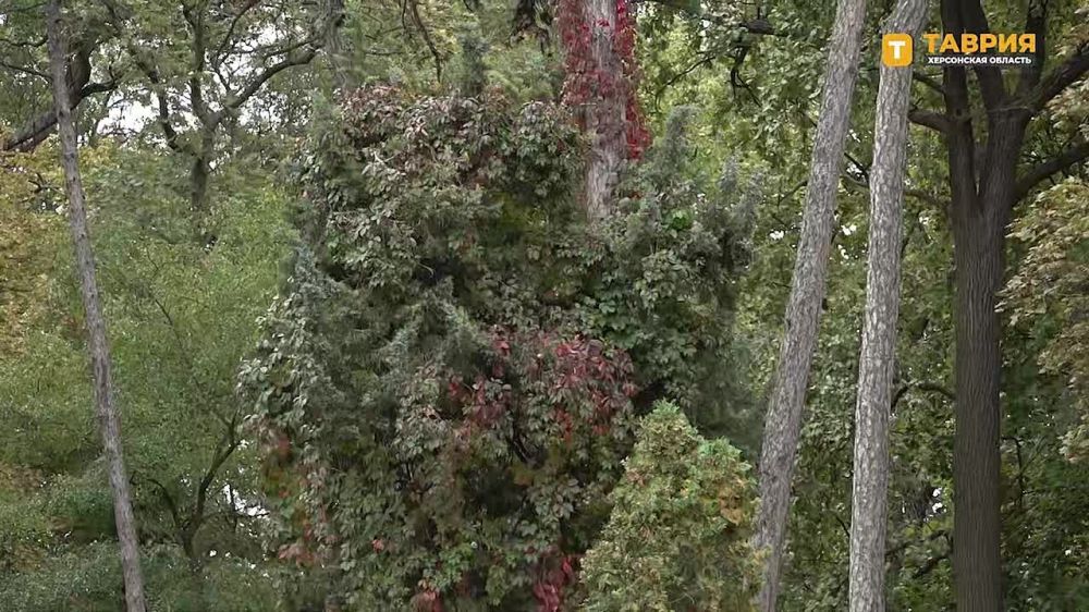 �������������� ���������� "������" �������� "�������-����" � ������, ��� ����� ���������� ����������