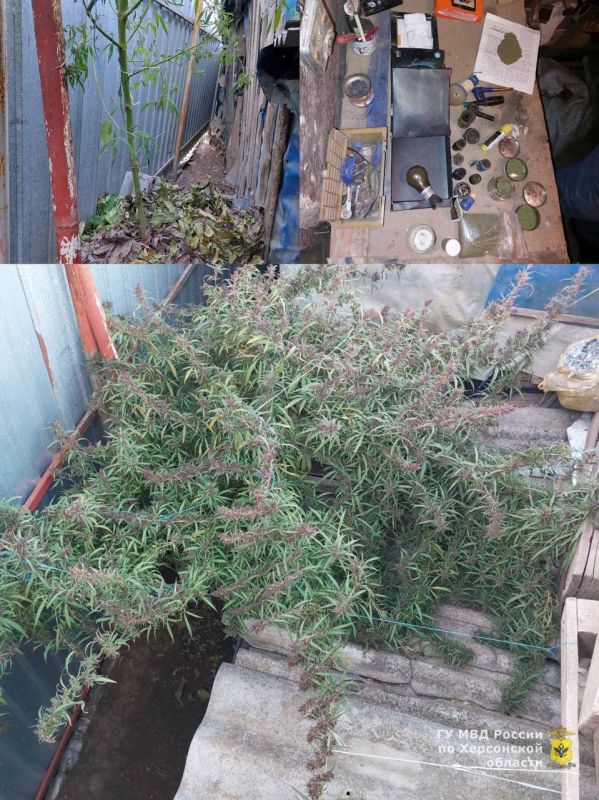 � ������������ ������ ������� ����� � �������� ������ ��������� � �������