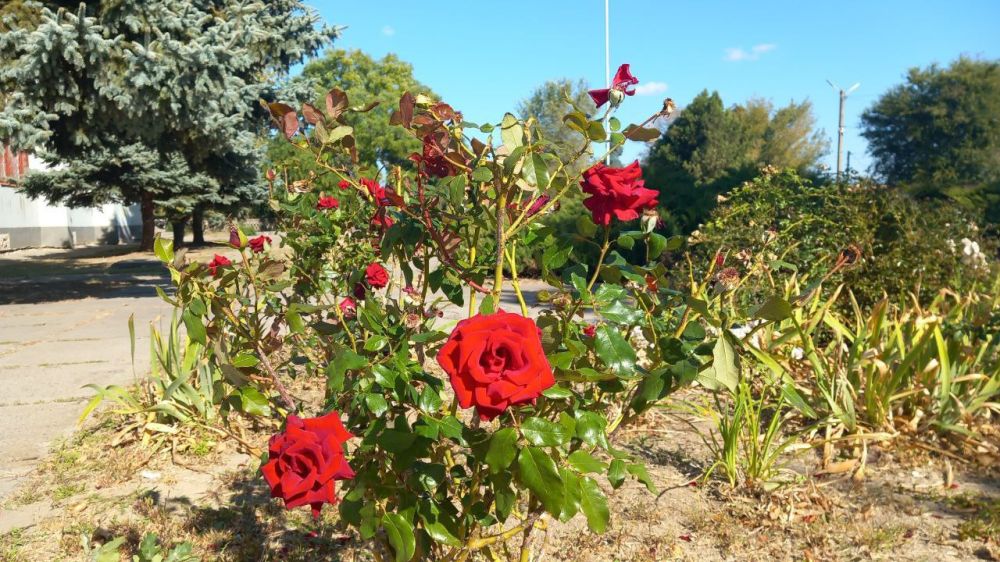 � ������ �����, �����������!