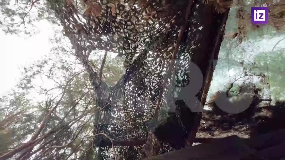 "����� ������������ ������������ �����������