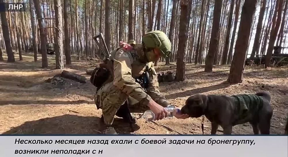 ������ ���� � �� ������ ������ ����, �� � ����������� �������� ��� ����������� ����� ����������� �����