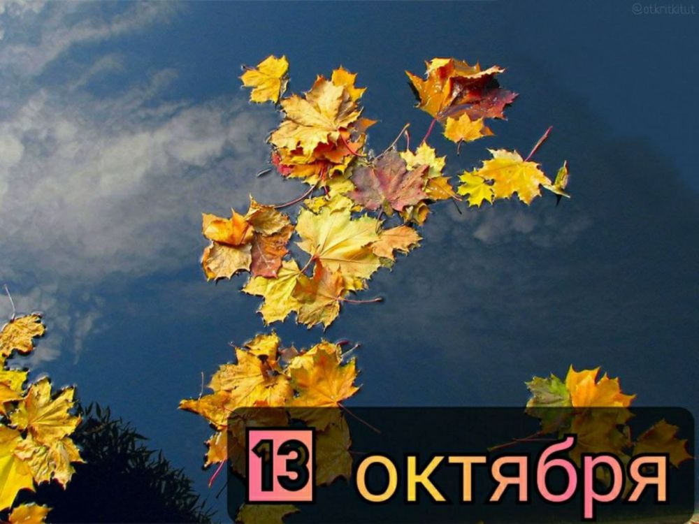 ��������� 13 �������. ������������� ���� �� ���������� ��������� �������� ���� �������� ����������� ���� ����������������...