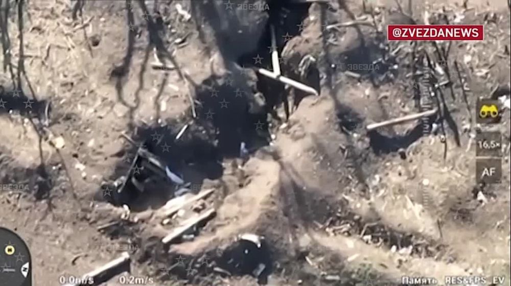 �����, ������� ����������, ��� ���������� ������ �������� �������