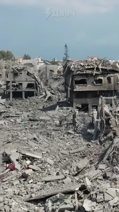 ����������� ����������� ������� ������� � ������� ����