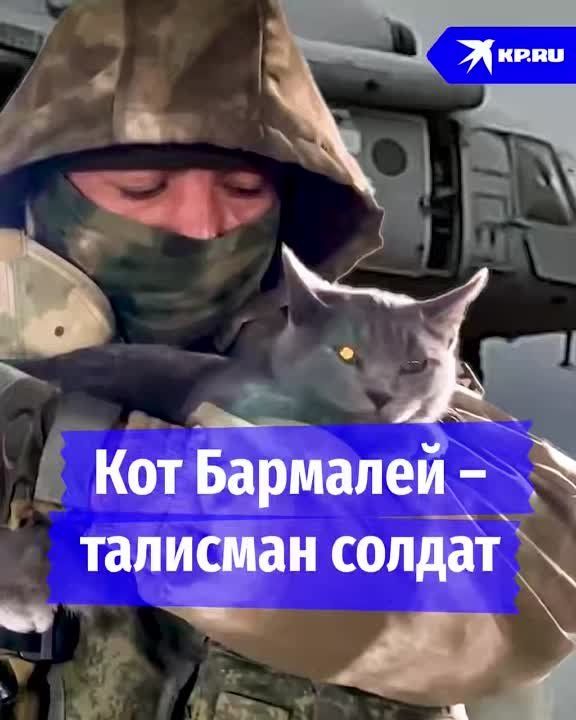 �������� ����� ������, ��� ��������, ������ ����� � ��������