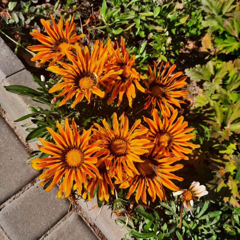 ��� ����� ������� ���������, ���� �� ���� ��� �����