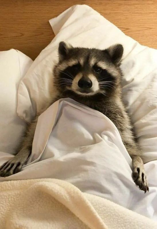 ����������!. � ������������� ��������