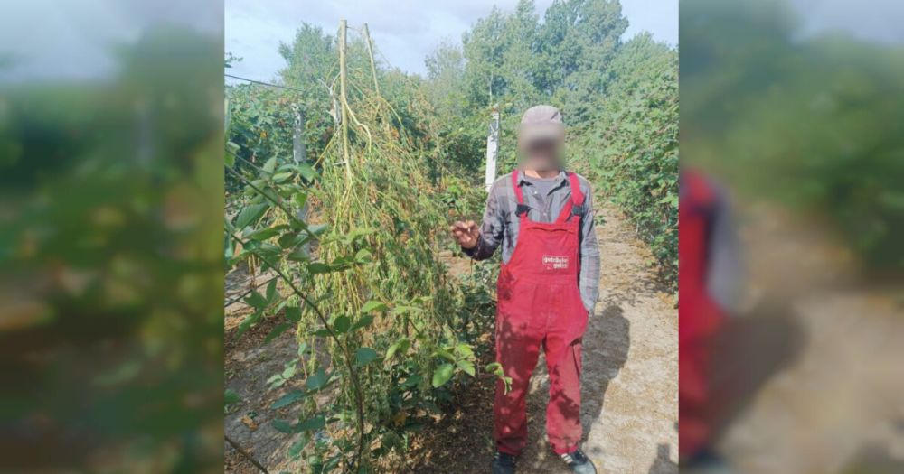 ���� ������ ������� ���������� � ������� ��������