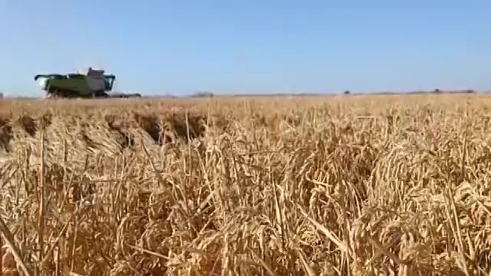 � ����� ����������� ������� ������ ����