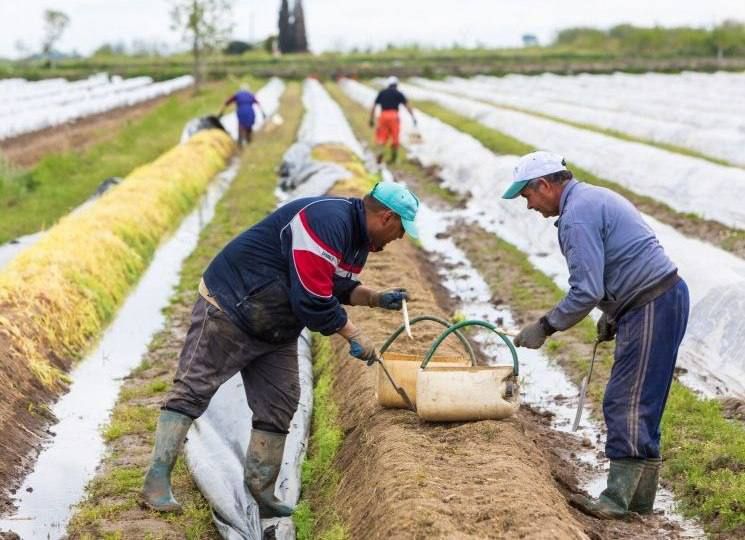 �������� ��������� ��� �������� �������