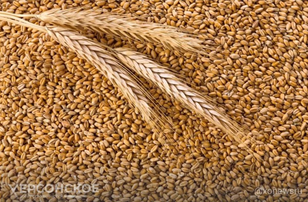 ������ ����� 2023 ���� ����������� ������ ����������� ����������� ����� � ��������