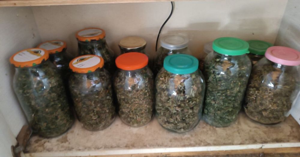 ����� � �������� ���������� � ����� � ������ ���� ������������ ������