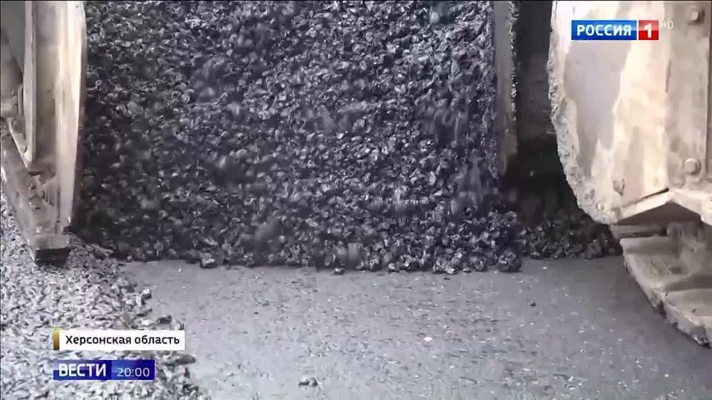 ���������� ���� � ����� � ������ ������, � �������� ������ ����������� ������ ���������� �������