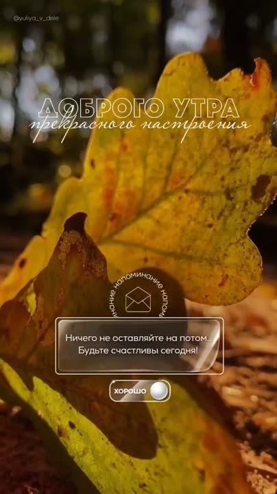 ������ ����, �����������!. ������ �������� �����������! ��� ������� ��������� ����� ����� �������� �������, �������� ���������� � ��������. ����� ���� ������ ���������� � �������� ���������� �������� ��������