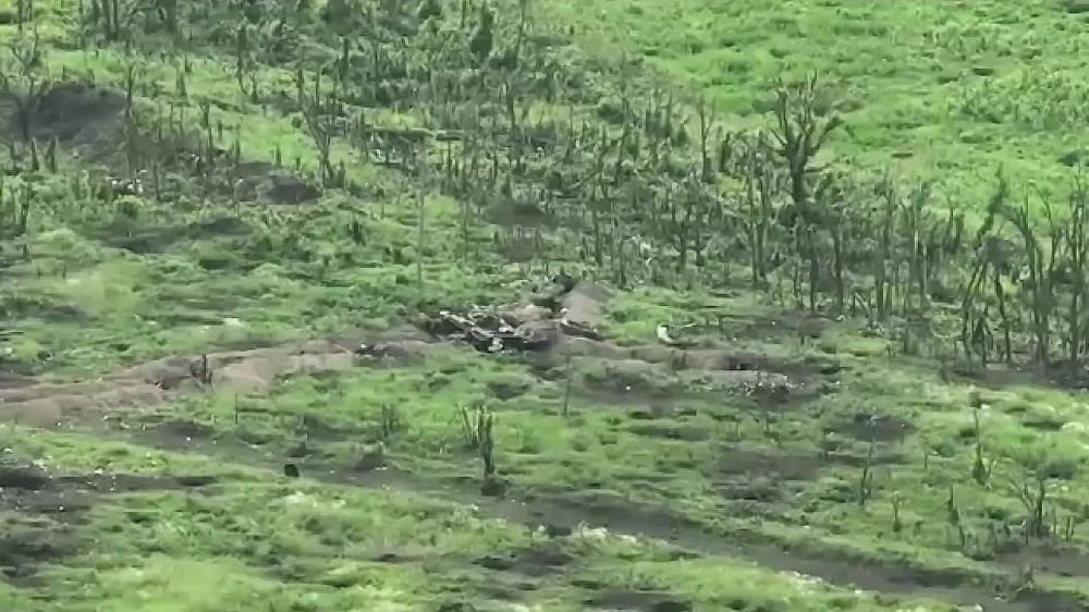 ������������ ������ ����������� ���������� �������� 81-� ������������� ������� ��� ��� ������������