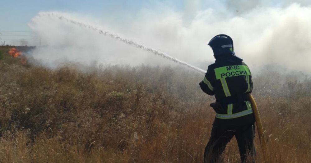 ���������� ��������� �������� ��� ������ �� �����