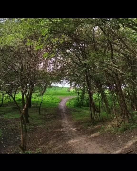 ������������ ��� �������� ����� ����� ������� ������� � ����� �������� ������ ����� �� �����