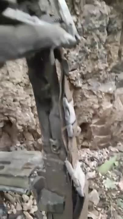 ��� �������� � �������� ��� ����� ��������