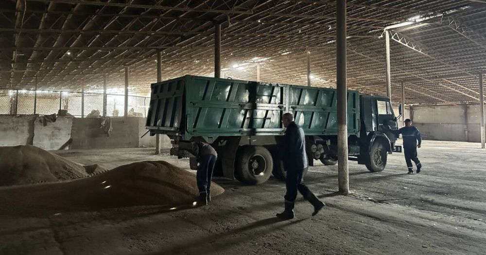 ������ ����� � ���������� ������ �������� 13 ���� �����