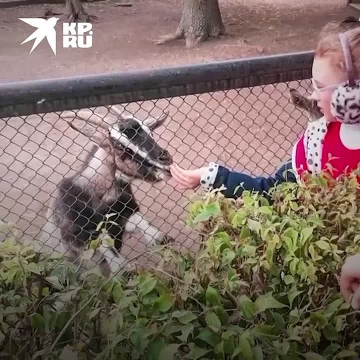 ���������� ���� ����������� � ��������� �� ������� ��������� �� "�������-����"