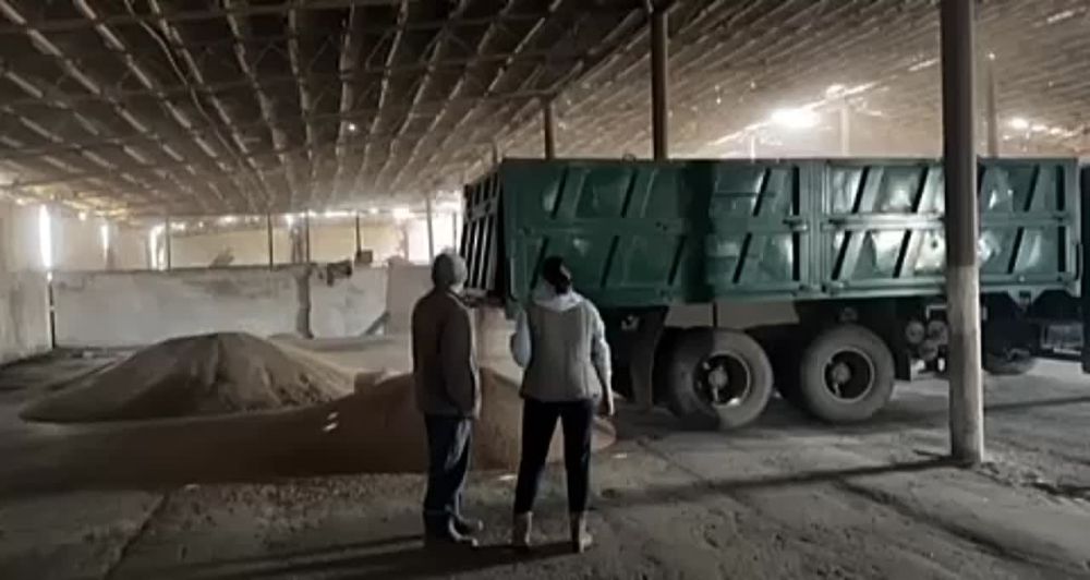 ���������� �����: � ������-�������� ��������� ������������ ��������� ������� ���� ���������������, ������� ��������� ������ ������� ������ �����