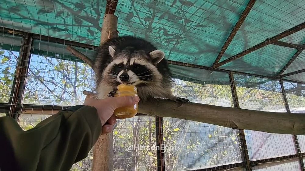 ���� �� �������: ������, ���� � ������� ����� ������!