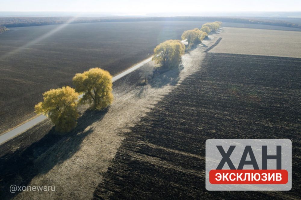 ����� ������������ �������� ������ ������ � ���������� �������