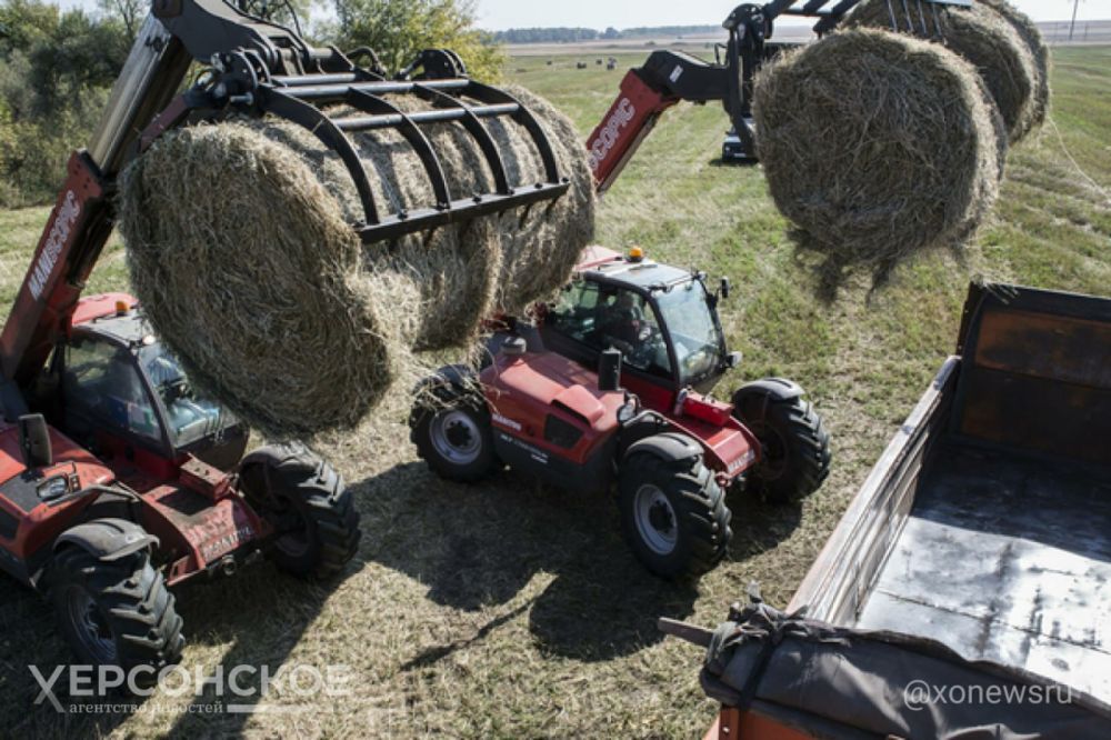 � ����������� ��������-���� � ���� ���������� ����� 800 ���� ���� ��� ��������