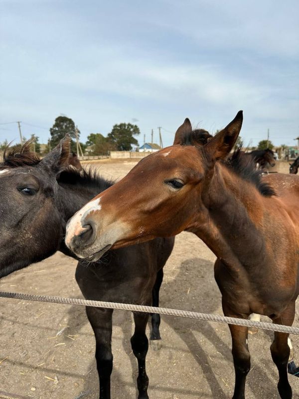 ������ ������ ���������� �� ������ ���������� ������� ��� ������������ � �� � ��������� ������ �����