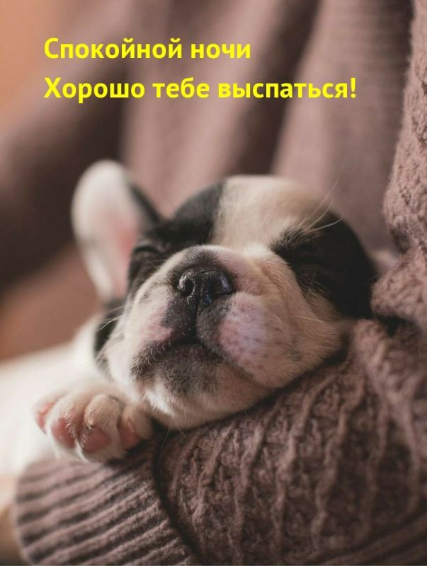 ������ ����. ������, ��������� ��� ����������� �����, ������ ��������� ��� � �������� ��� � ���� � ������� ��������� ������, ������� ����������� �� ������. ��� �������. ����������� �� +4 ����� �� +13 ����