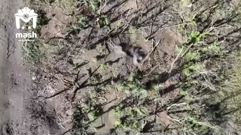 ����� ��� �� ����� �����������? ����� ����� ����������� ����� ������ �������, ��� ��� �������������