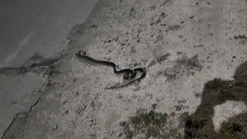 ��������� ���� �������� � ���������