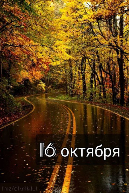 ��������� 16 �������. ��������� ���� ���������