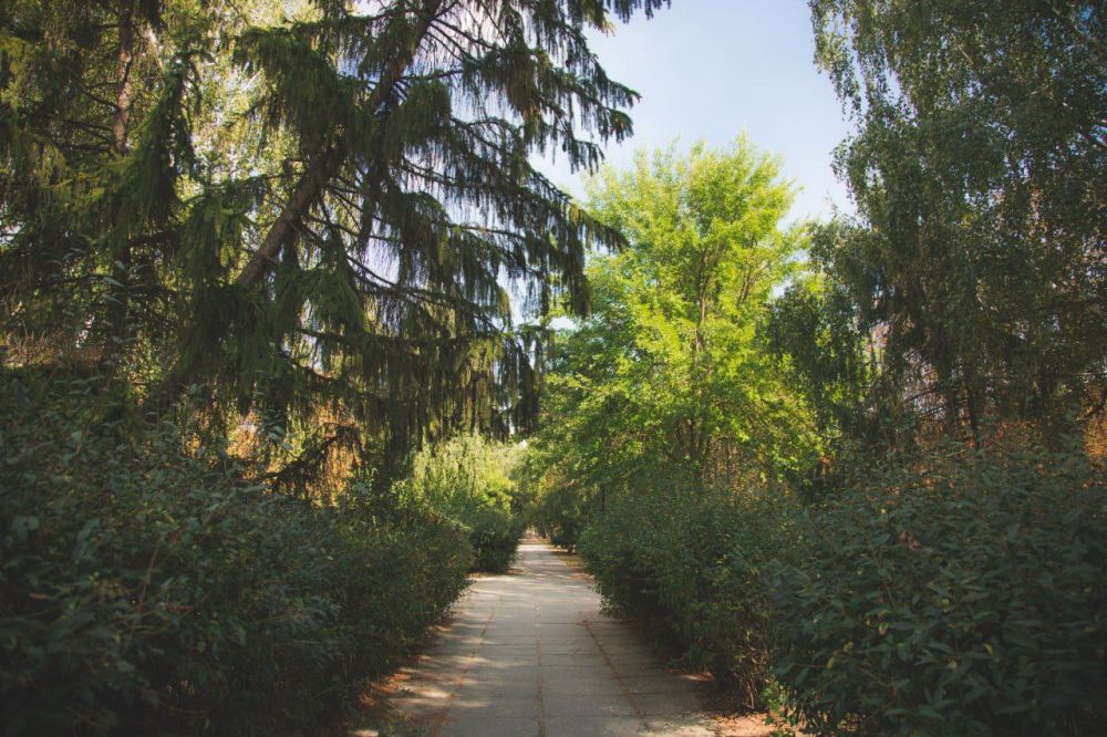 ������ ����, �������!. @VGA_Kakhovka