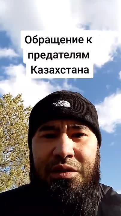 ����� ��������� � �������-���������