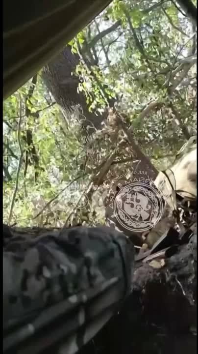 ��� ������: ���������� �������. ���� �� �������. �� ������� - ���� ������. � ������� ��� ����� �����